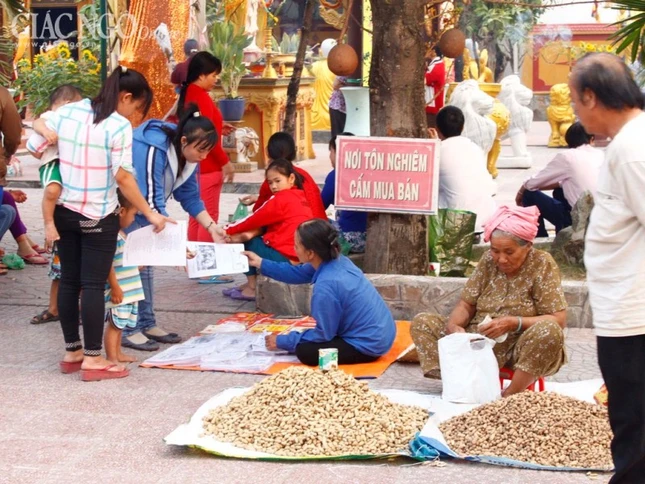 to dinh long thanh (5).jpg