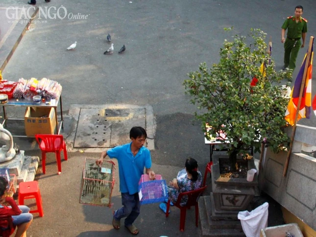 vinh nghiem q3 (3).jpg