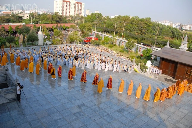 BTN_0095.JPG