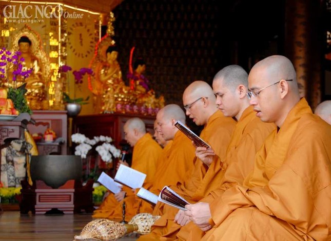 TP.HCM: Tán đàn Pháp hội Dược Sư tại chùa Huê Nghiêm ảnh 5 BTN_0059.jpg