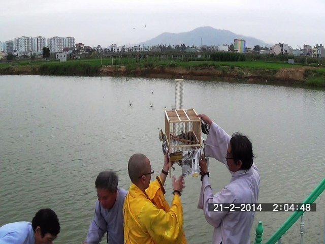 Đạo tràng Tịnh Độ phóng sanh, phóng đăng cầu an ảnh 1 anh 2.jpg