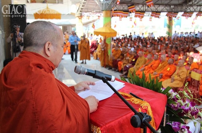 1 nam tong 7.jpg