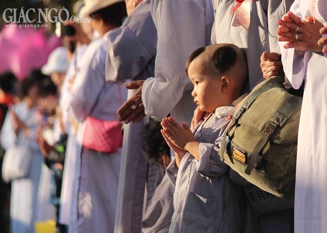 Hơn 1.500 Tăng Ni Hệ phái Khất sĩ trì bình khất thực ảnh 22 1 giang11.jpg