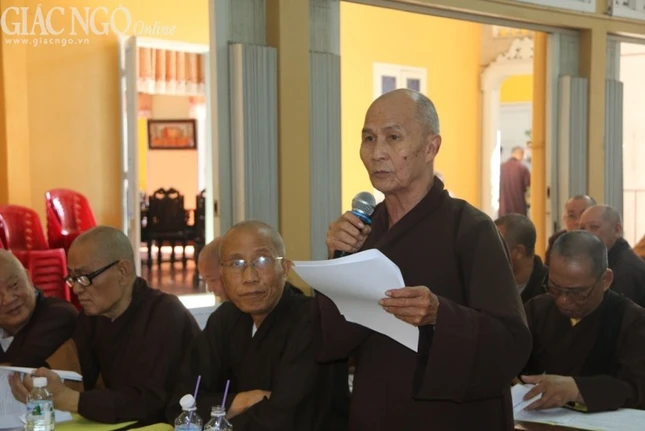 Anh TK (11).jpg