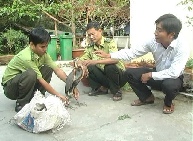 Tha Diec lua ve Vuon QGTC 2.jpg