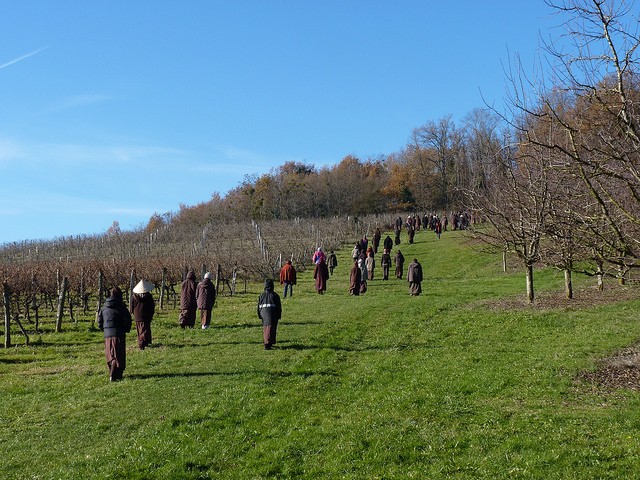 Nghĩ về hạnh phúc nhân ngày Quốc tế hạnh phúc ảnh 1 1 ao nau.jpg