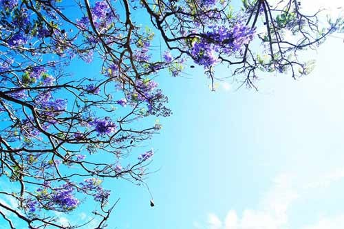 Tạm biệt tháng 3 ảnh 1 1 thang 3.jpg