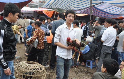 Vắng bóng chọi gà tại lễ hội chùa Duệ Tú ảnh 1 HÌNH ẢNH ĐÁ GÀ CÁ ĐỘ ĐÃ KHÔNG CÒN XUẤT HIỆN Ở LỄ HỘI CHÙA DUỆ TÚ.jpg