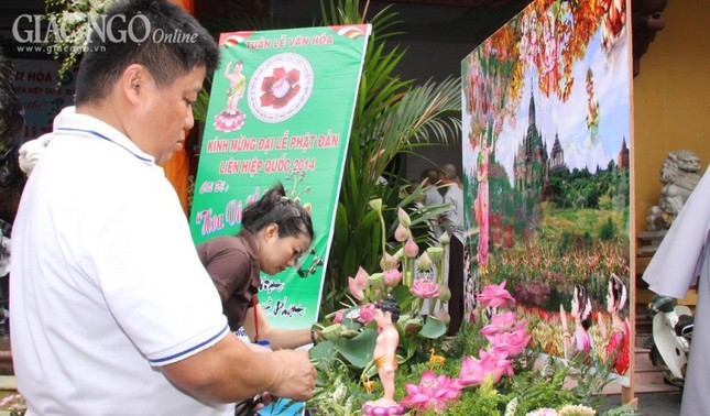 thi cam hoa (14).jpg