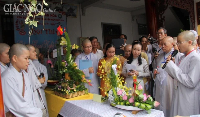 thi cam hoa (39).jpg