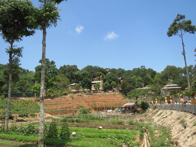 Nghỉ lễ, hành hương núi Cấm viếng chùa, lễ Phật ảnh 7 a phat 6.JPG