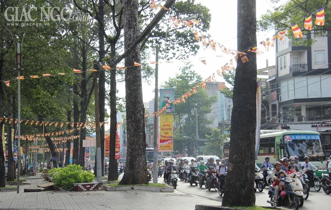 khong khi phat dan (39).jpg