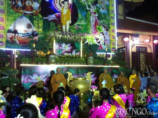 hv pho quang (3).jpg