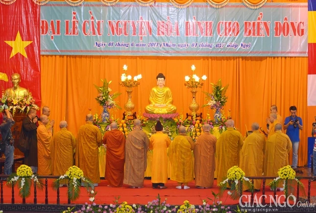 anh BT (10).jpg