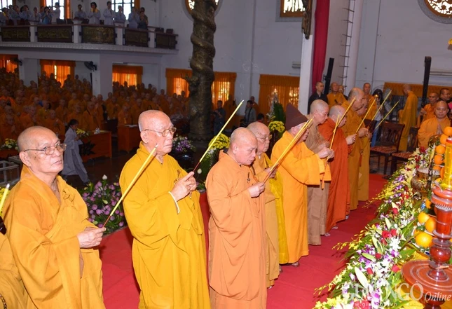 anh BT (11).jpg
