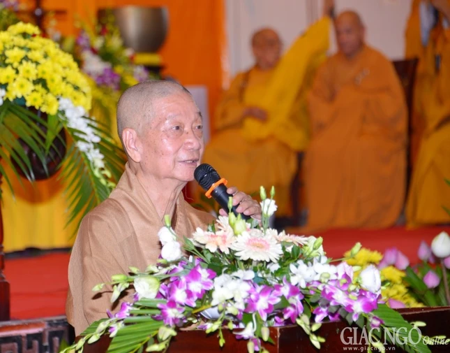 anh BT (13).jpg