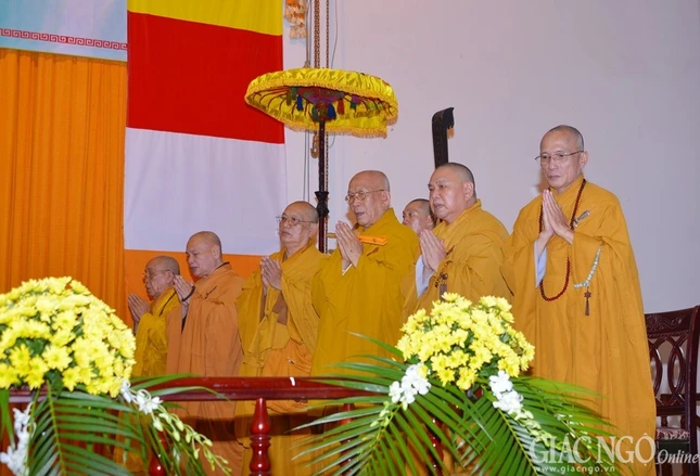 anh BT (2).jpg