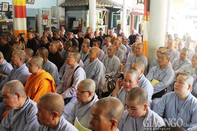 dongthap (5).jpg