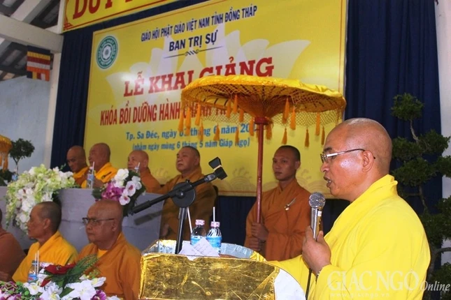 dongthap (7).jpg