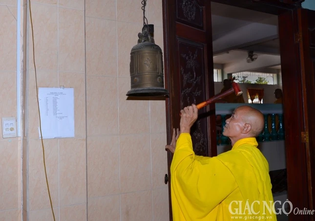 PSA - Truong Ha (3).jpg