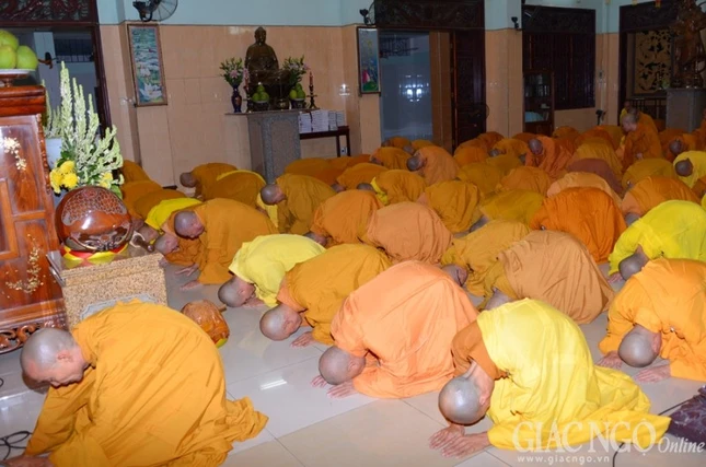 PSA - Truong Ha (5).jpg