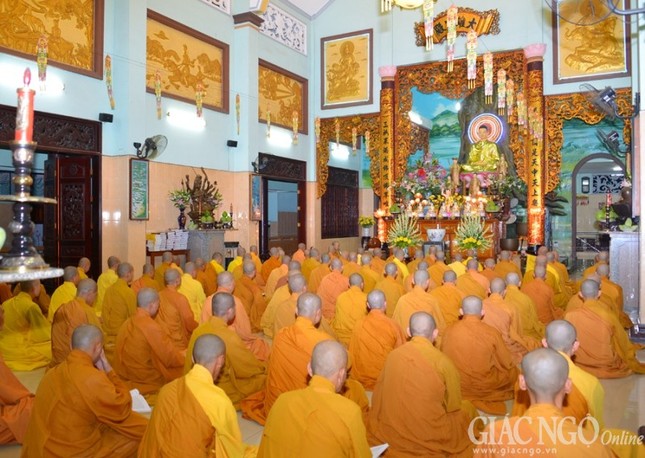 PSA - Truong Ha (7).jpg