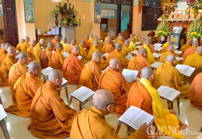 PSA - Truong ha (20).jpg