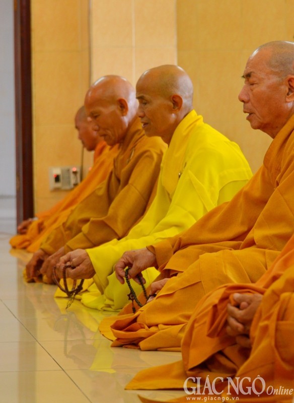 PSA - Truong ha (26).jpg