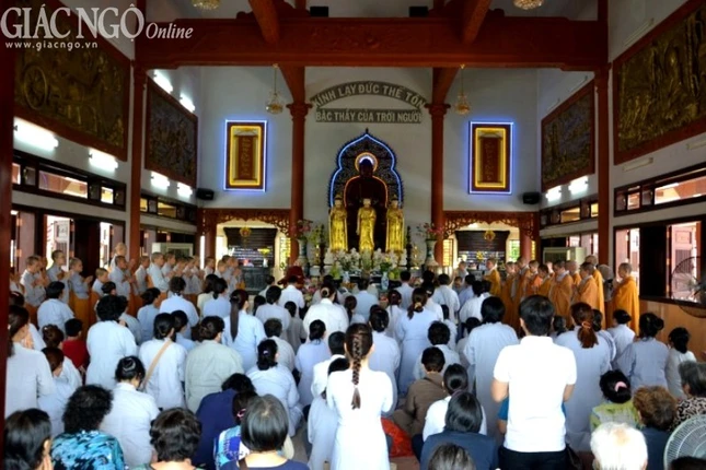 A cung duon (2).jpg