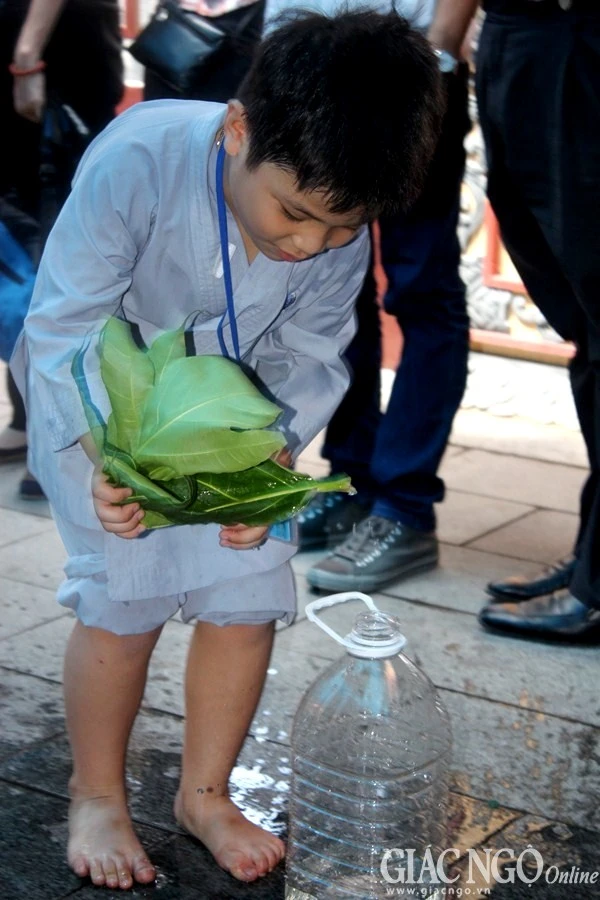 Anh QA (17).jpg