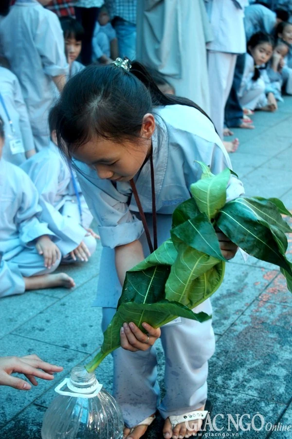 Anh QA (18).jpg