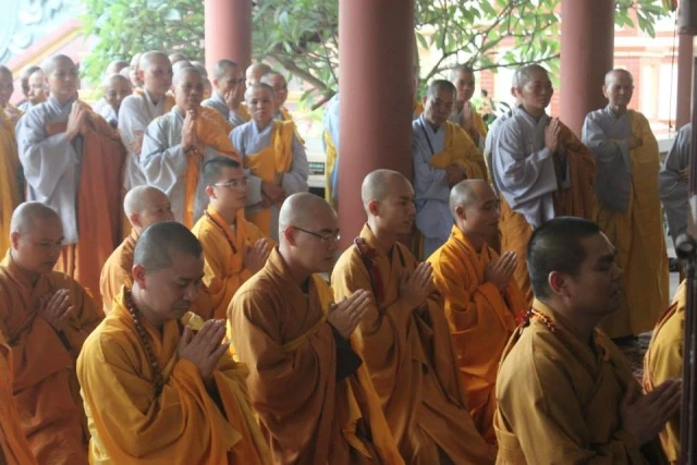 thaibinh 2.jpg