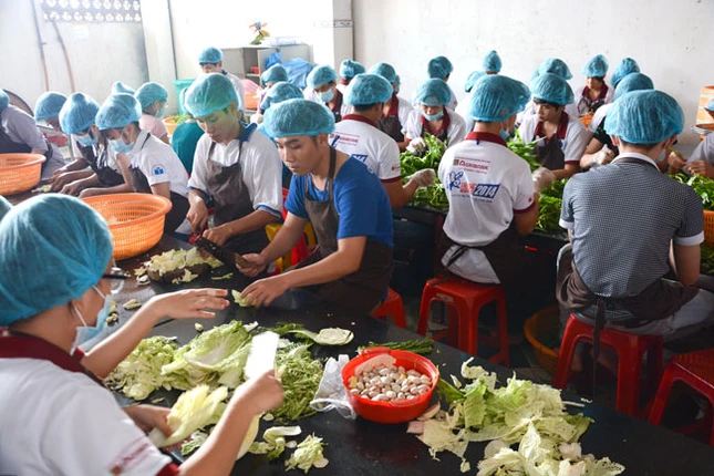 H_nh 1 -  R_t nhi_u t_nh nguy_n vi_n __n h_ tr_ ch__ng tr_nh.jpg