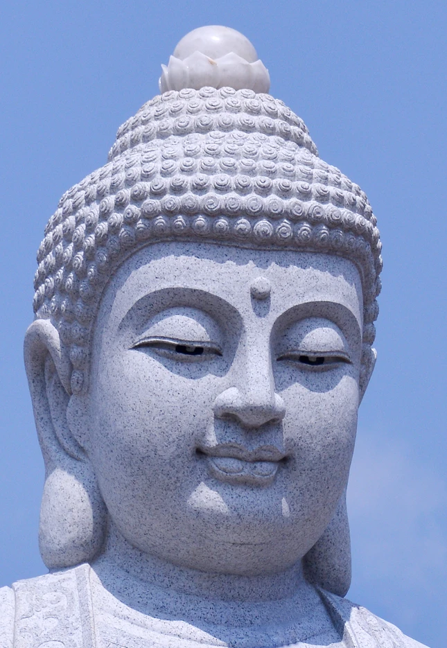 Phat A Di Da (2).JPG