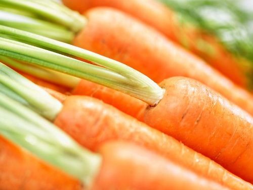 Đừng bỏ qua củ cải đỏ trong thực đơn mỗi ngày ảnh 1 ca-rot.jpg
