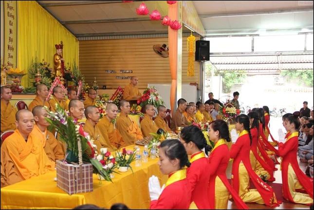 IMG_9512 (Large).JPG