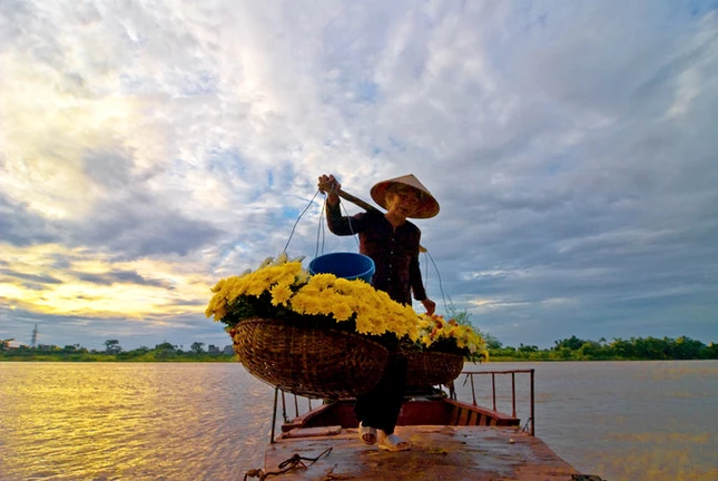 IMG_9553 (Large).JPG