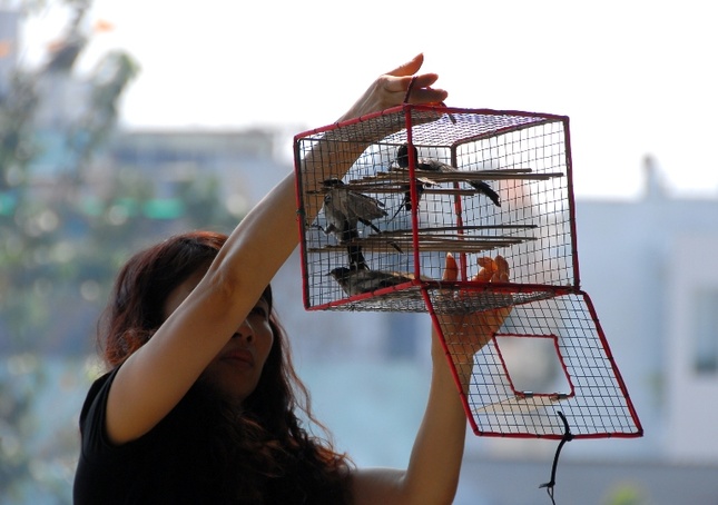 suy nghiem loi phat (1).jpg