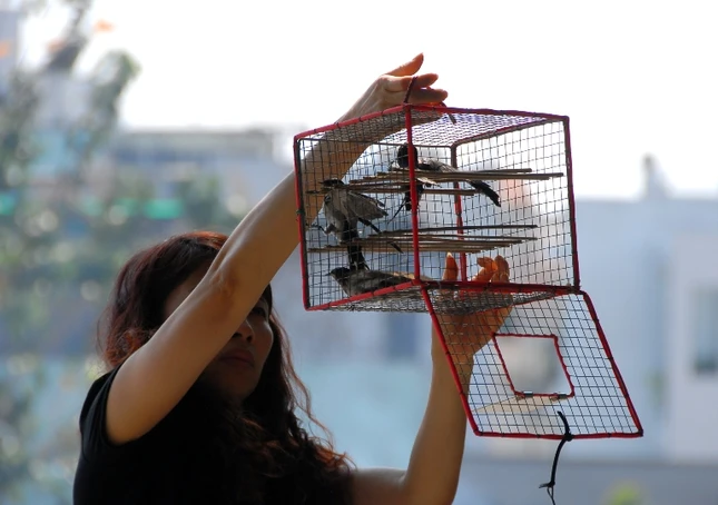 suy nghiem loi phat (1).jpg