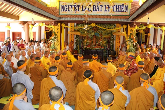 anh QN 3.jpg