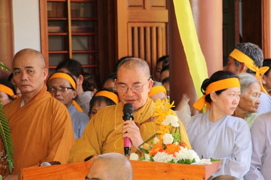 anh QN 6.jpg