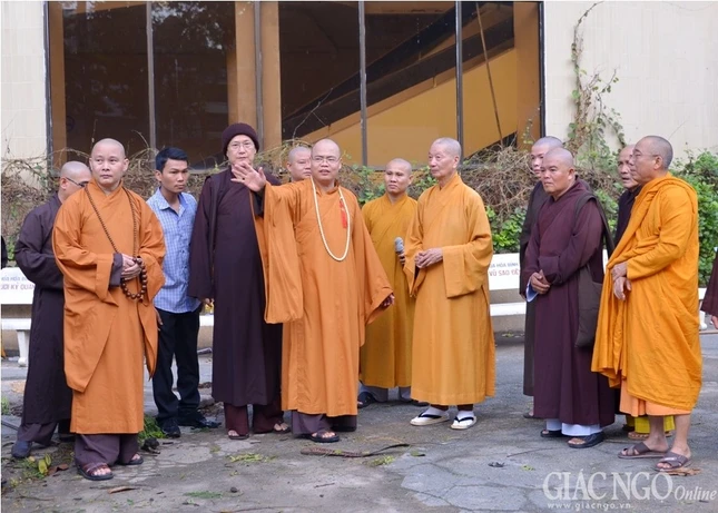 ANh AD (3).jpg