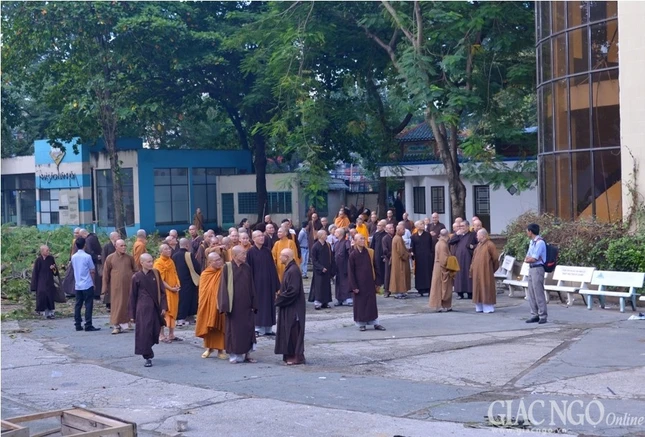 ANh AD (4).jpg