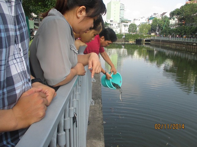 anh tu linh.jpg