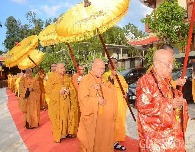 1 tna01.JPG