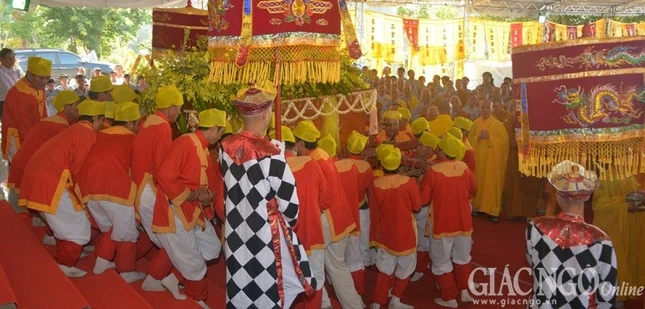 1 tna02.JPG