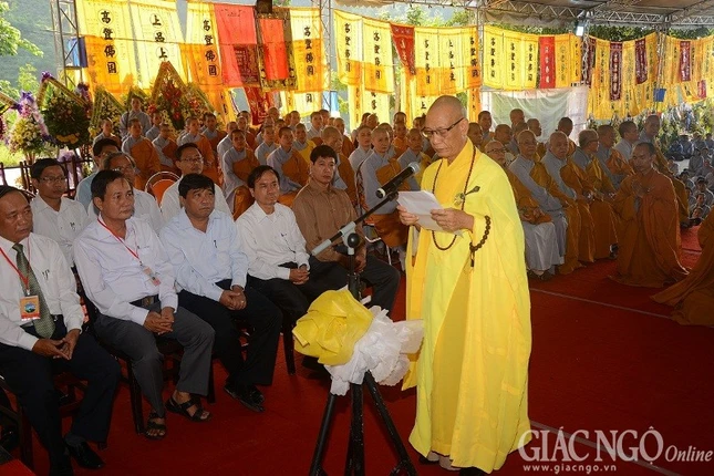 1 tna08.JPG