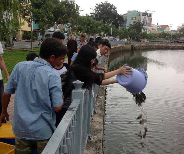 CLB Thanh niên Thiện Nguyện Trẻ phóng sanh ảnh 1 phong sanh.jpg