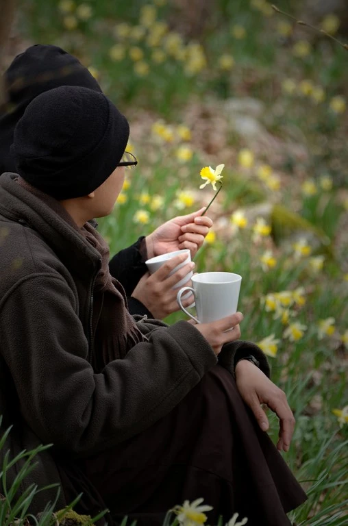 Anh 1, PGTT gn 768, minh hoa bai của THANH THI.jpg