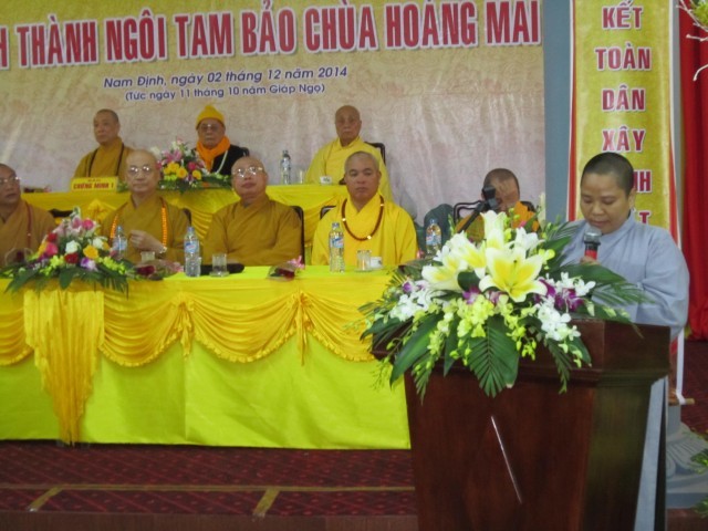 a hoang mai 3.jpg